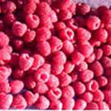  Red Raspberry Extract